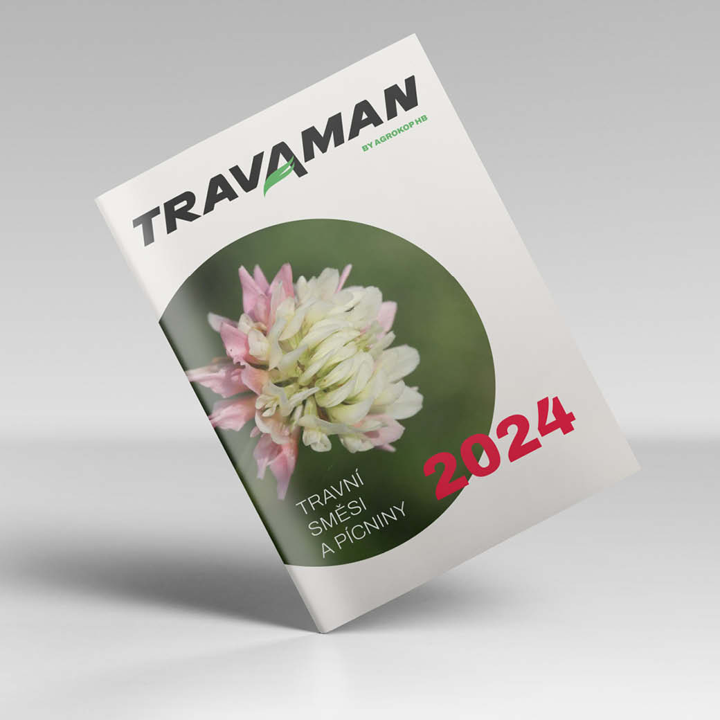 Koncepto návrh katalogu Travaman