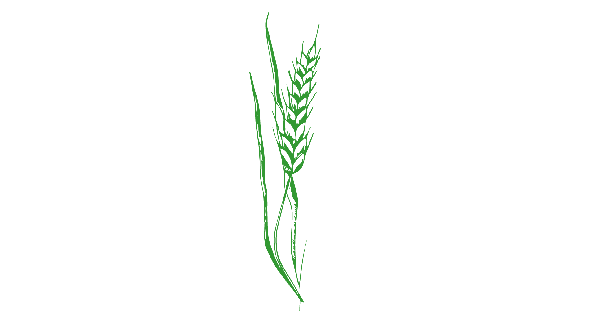 Koncepto Agrokop ilustrace