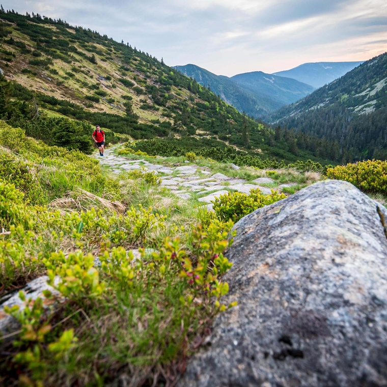 Koncepto, marketing a design, Opravdové Krkonoše