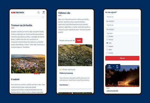 IC Trutnov web - Koncepto
