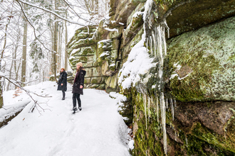 Koncepto, marketing a design, Pod Javořicí