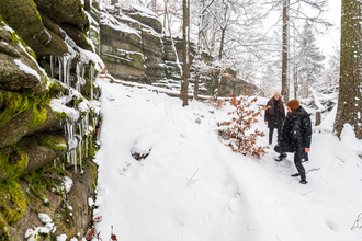 Koncepto, marketing a design, Pod Javořicí