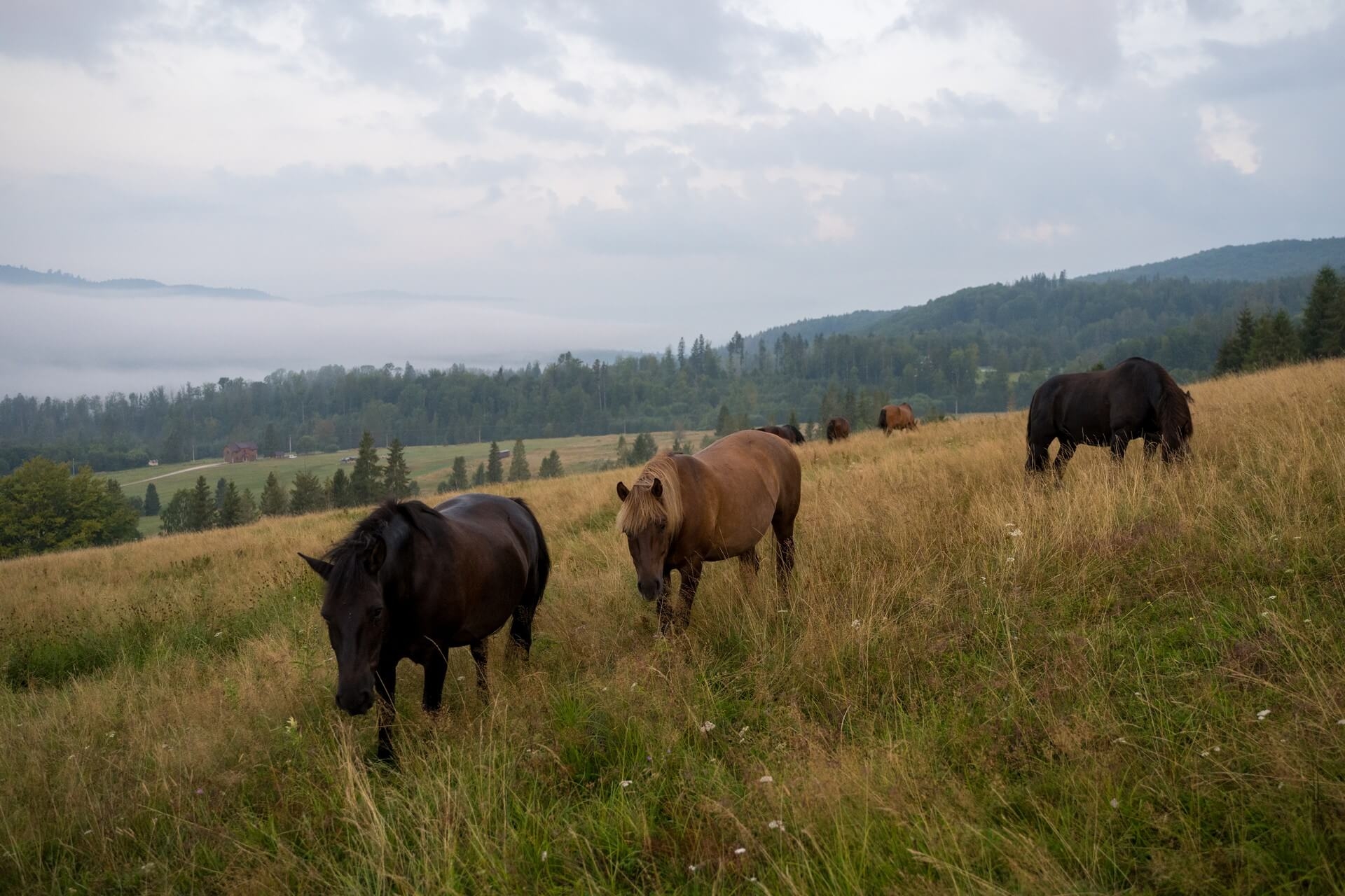Koncepto, marketing a design, Muránska planina
