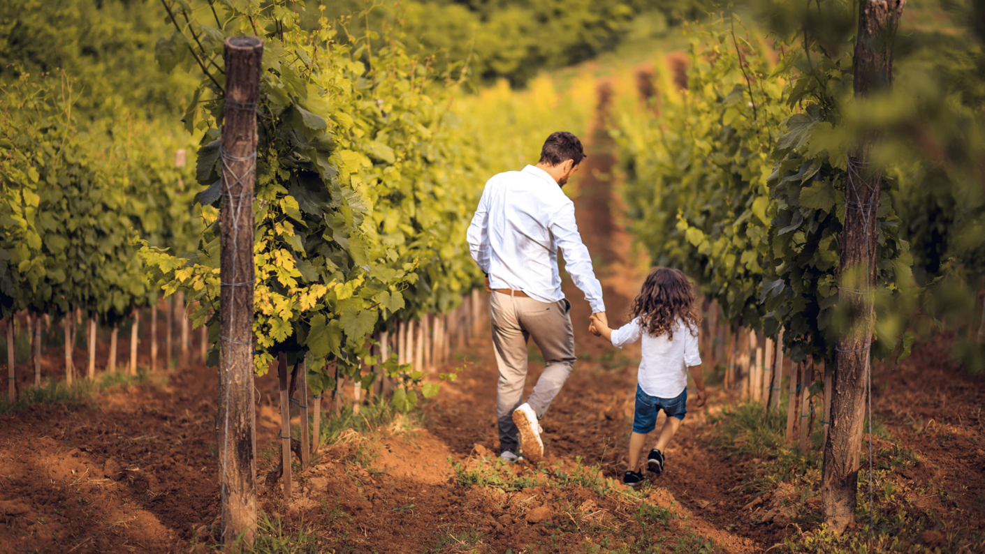 Koncepto Malebné Slovácko